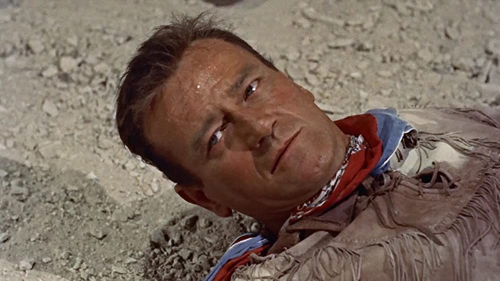 ホンドーの画像