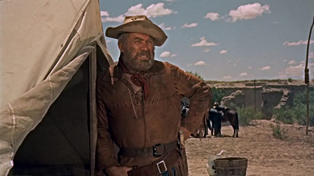 ホンドーの画像