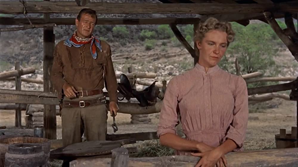 ホンドーの画像