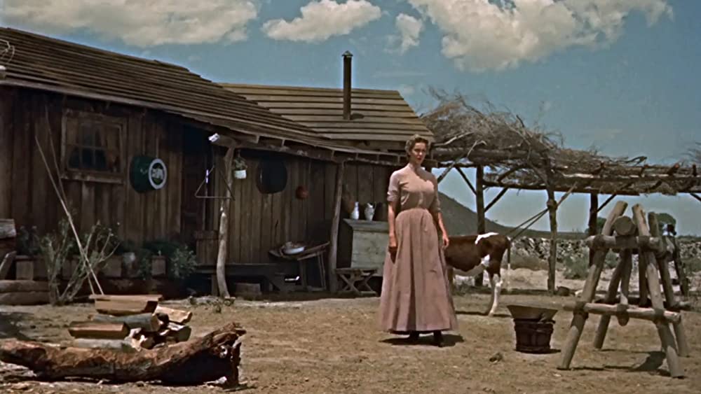 ホンドーの画像