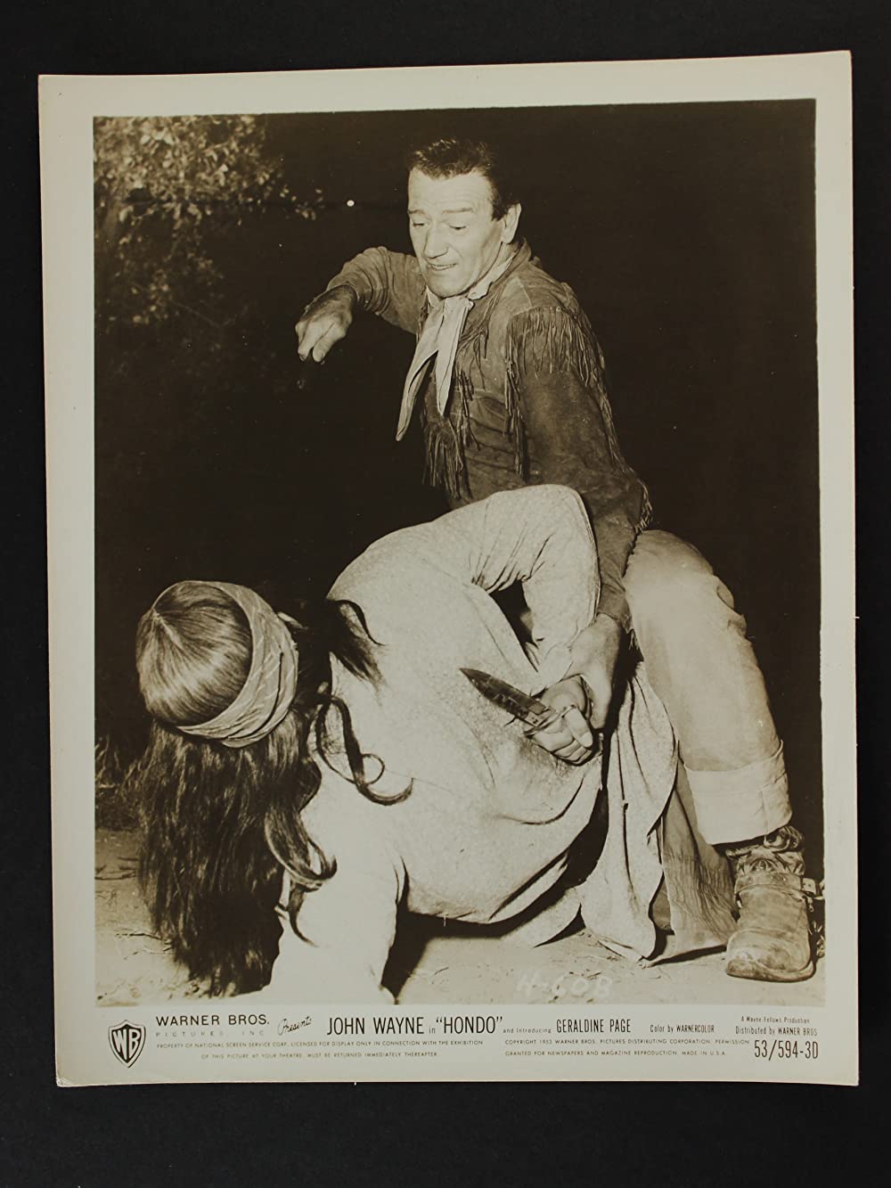 ホンドーの画像