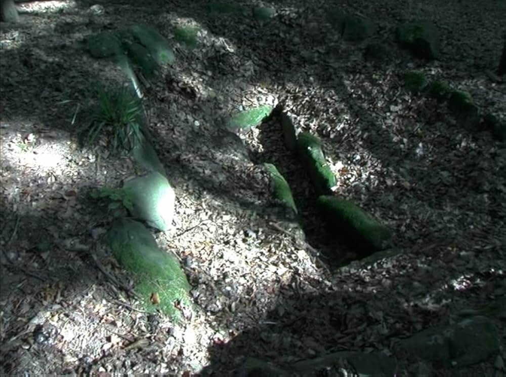 ある相続人の画像