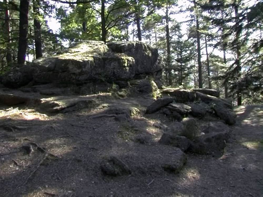 ある相続人の画像