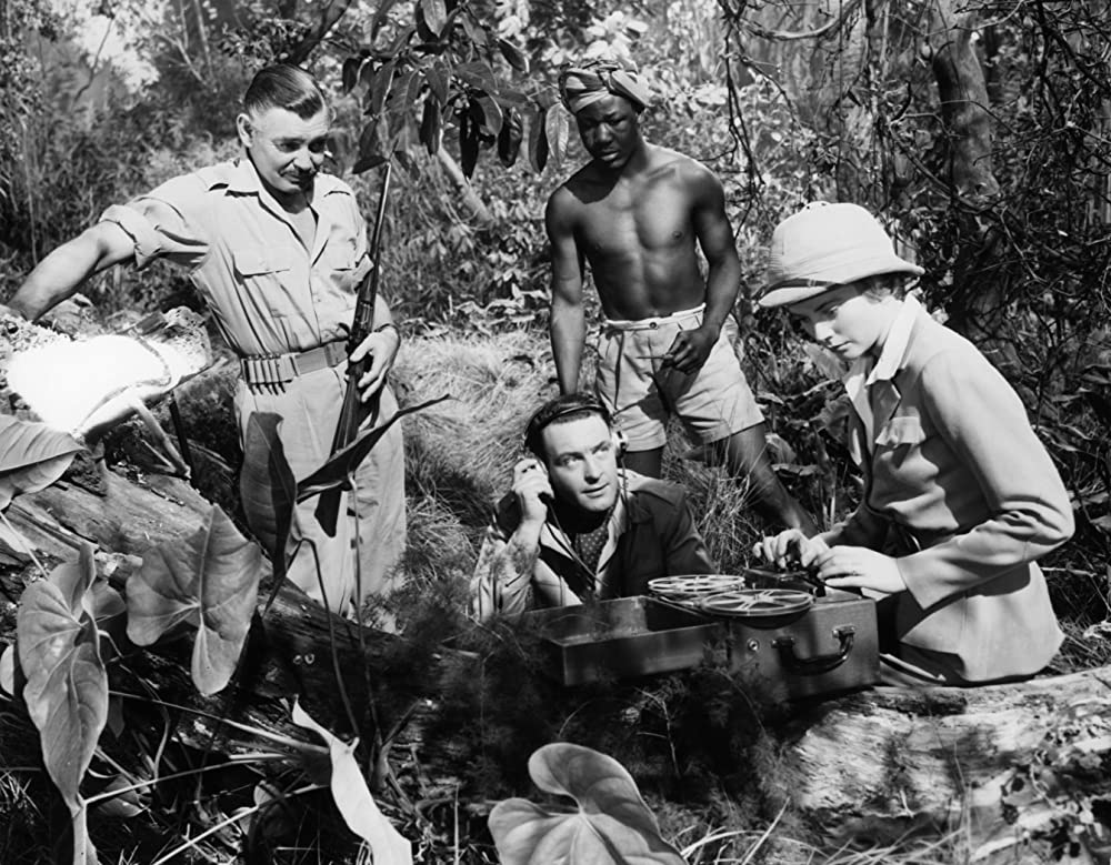 モガンボの画像