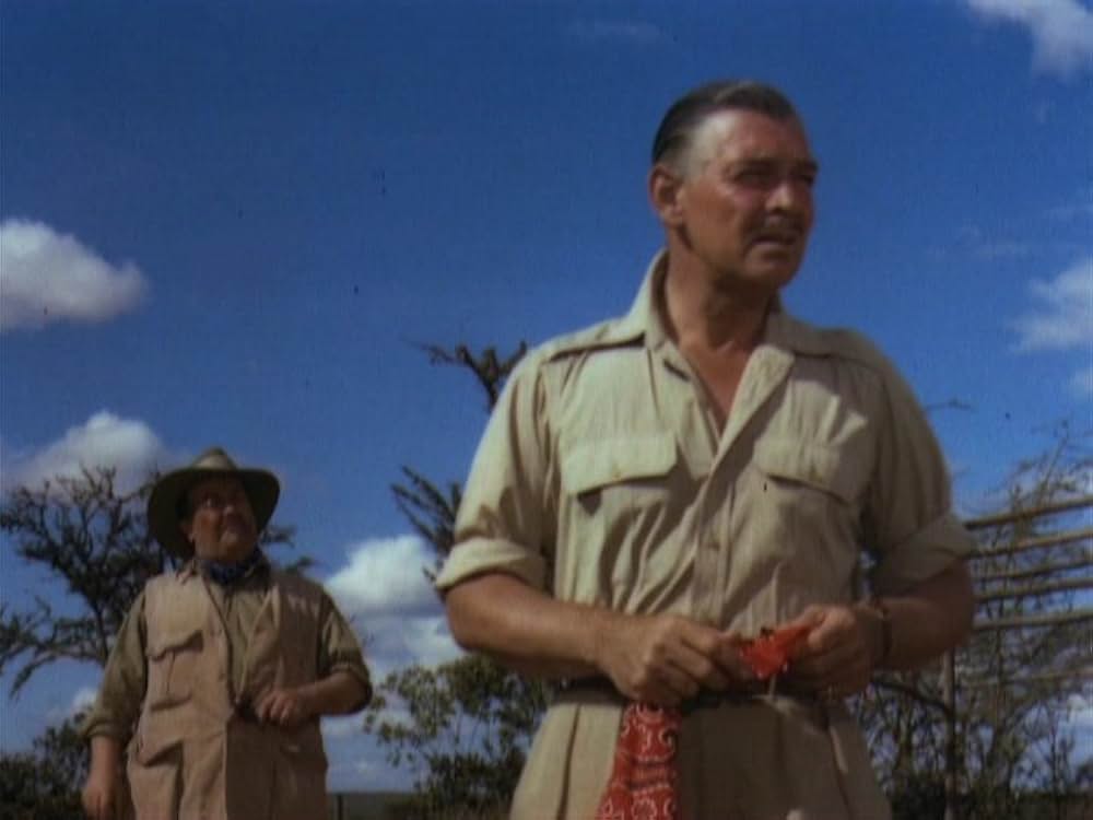 モガンボの画像