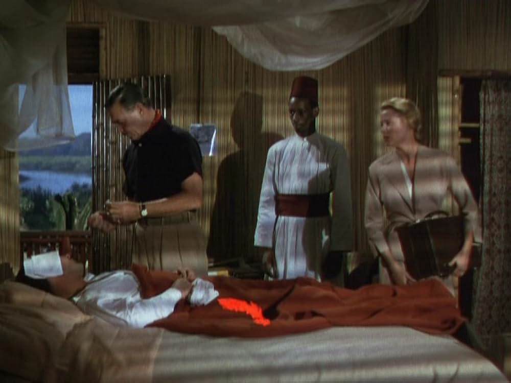 モガンボの画像