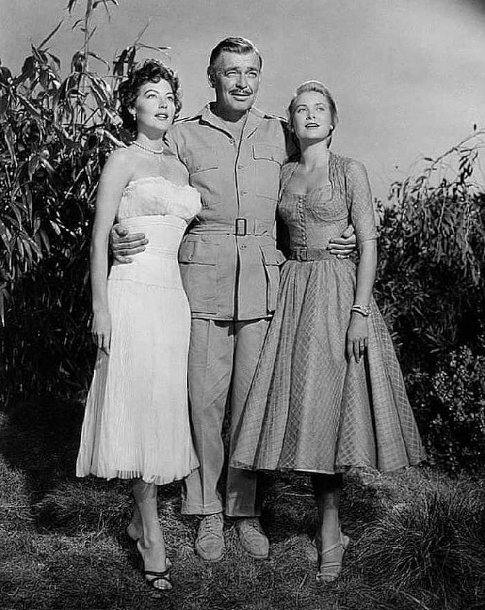 モガンボの画像