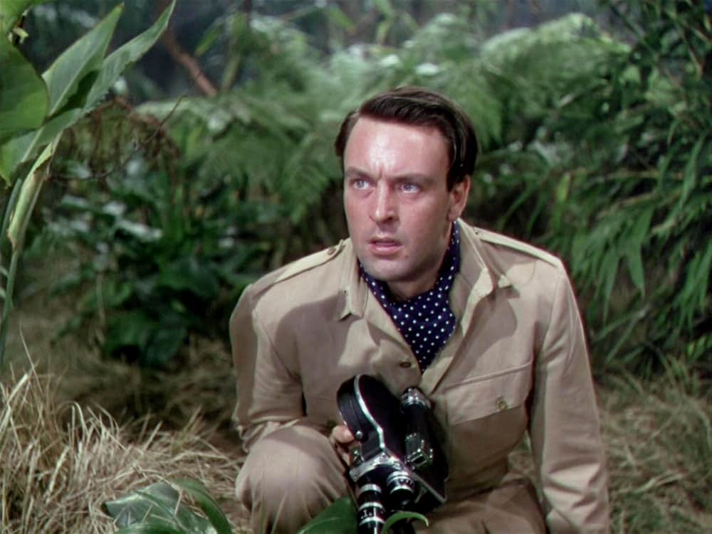 モガンボの画像