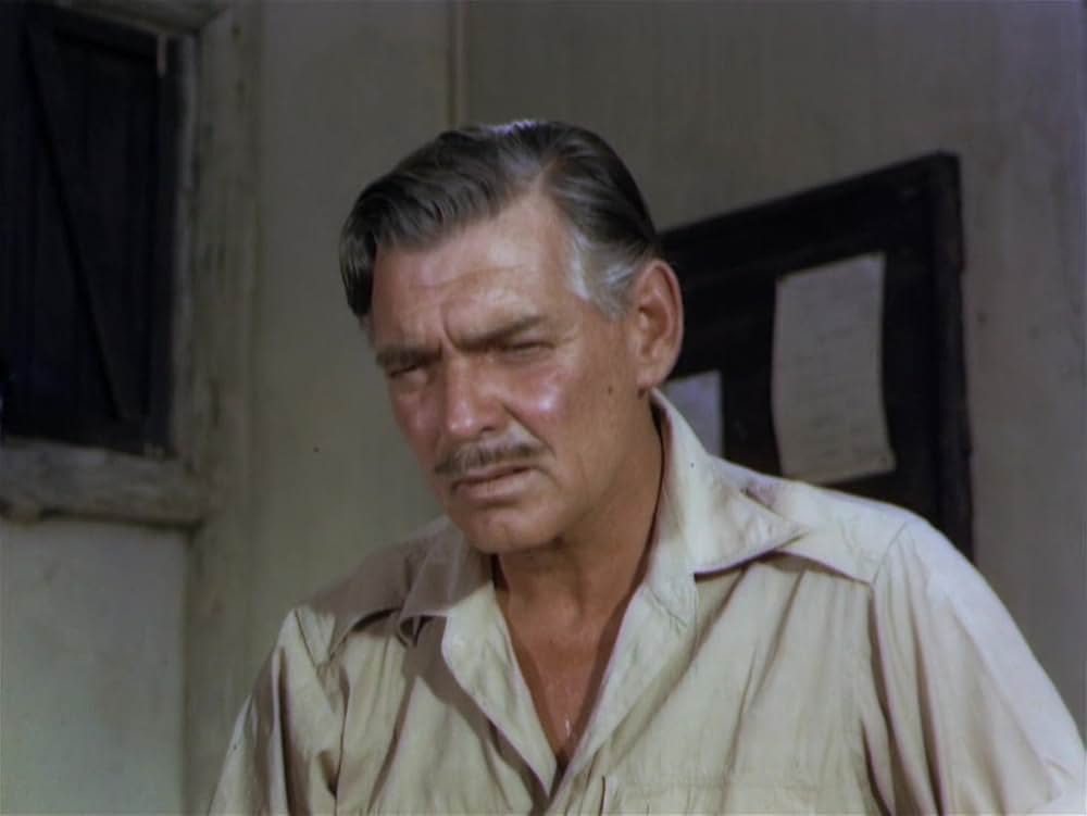 モガンボの画像