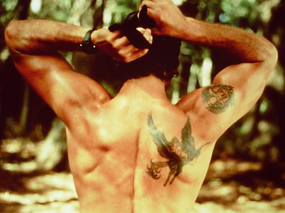 コブラ・キラーの画像