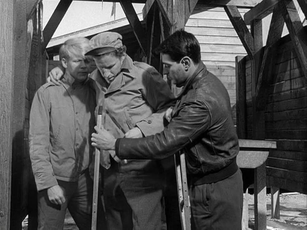 第十七捕虜収容所の画像