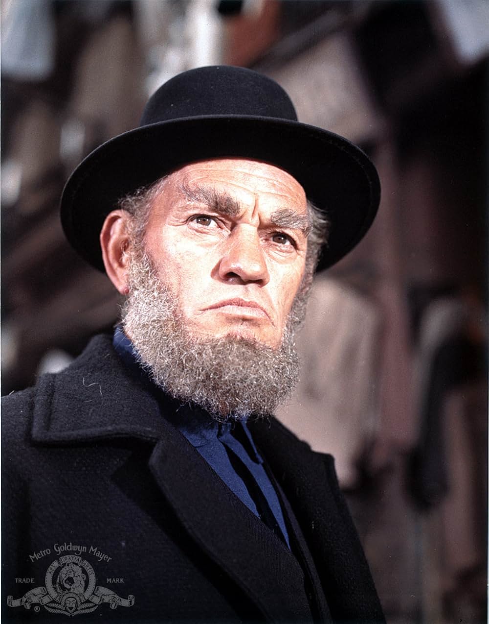 The Night They Raided Minsky's（原題）の画像