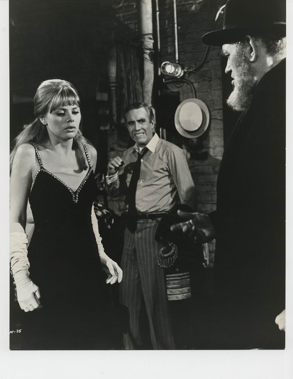 The Night They Raided Minsky's（原題）の画像