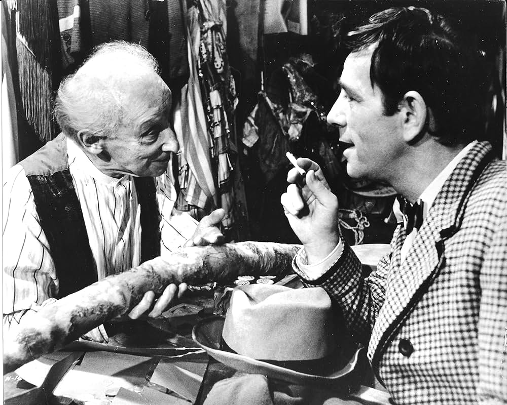 The Night They Raided Minsky's（原題）の画像