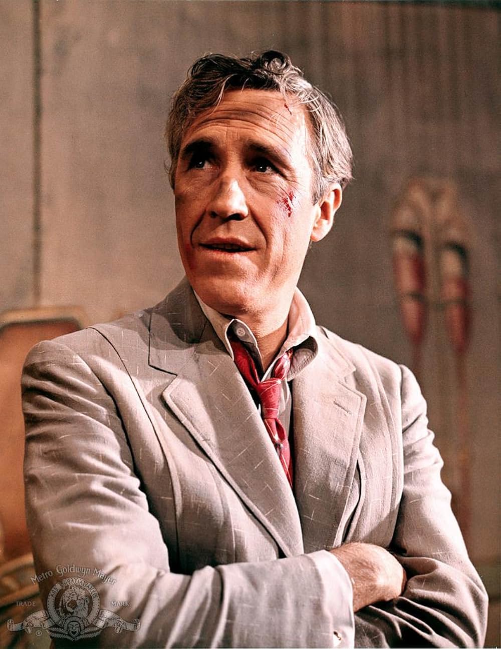 The Night They Raided Minsky's（原題）の画像