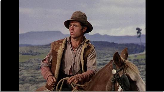 シェーンの画像