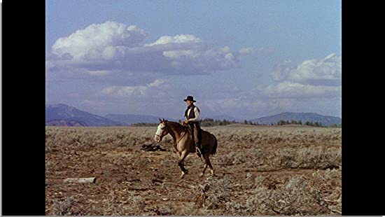 シェーンの画像