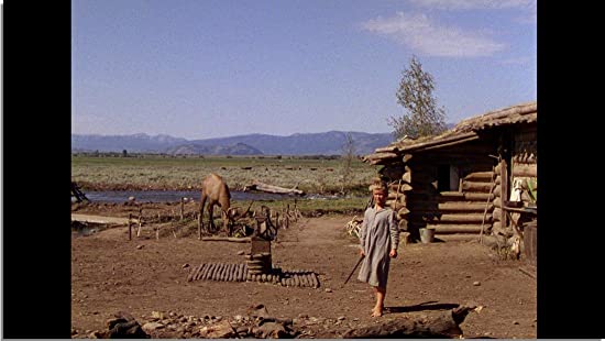 「シェーン」ブランドン・デ・ワイルドの画像