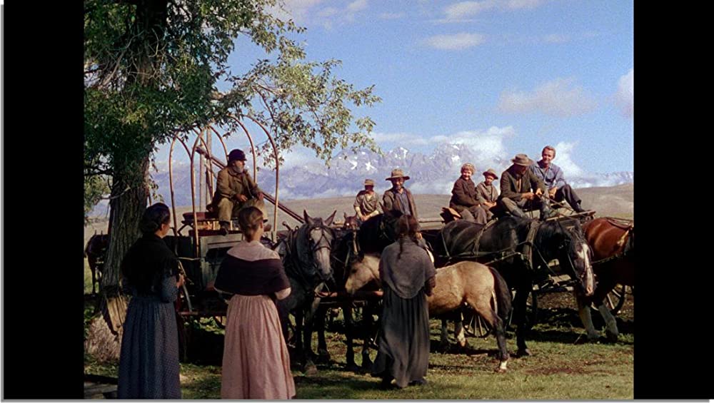 シェーンの画像