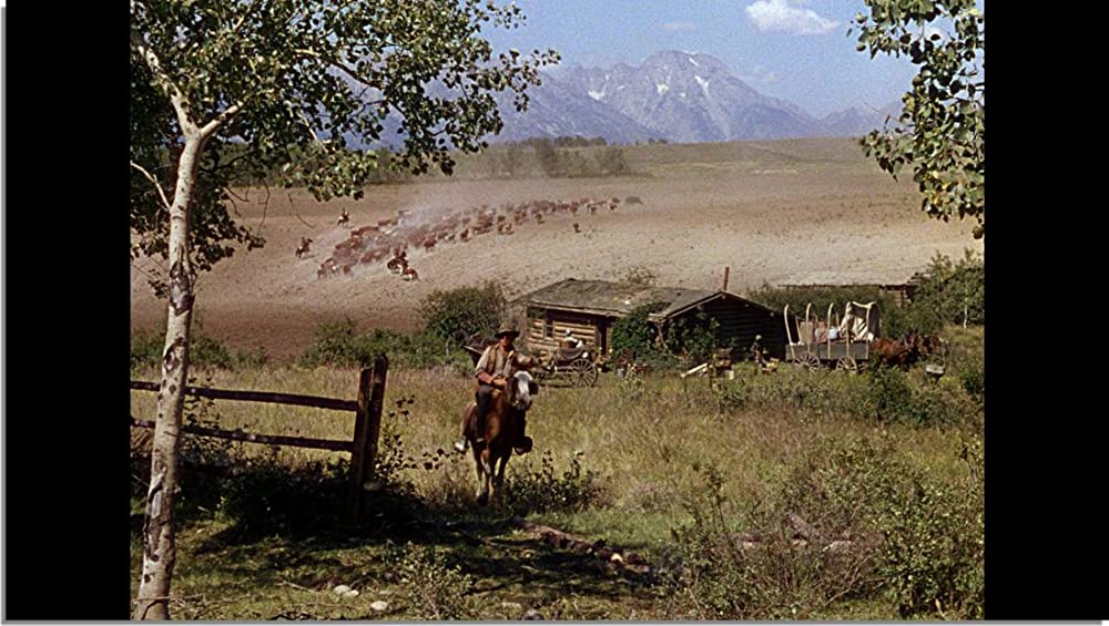 シェーンの画像