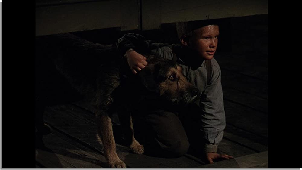 「シェーン」ブランドン・デ・ワイルドの画像