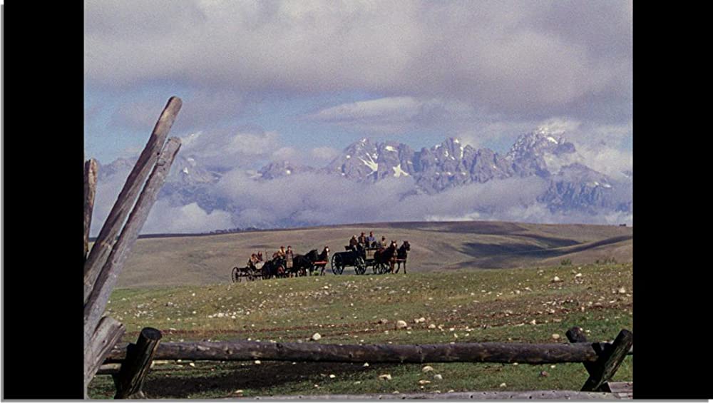 シェーンの画像