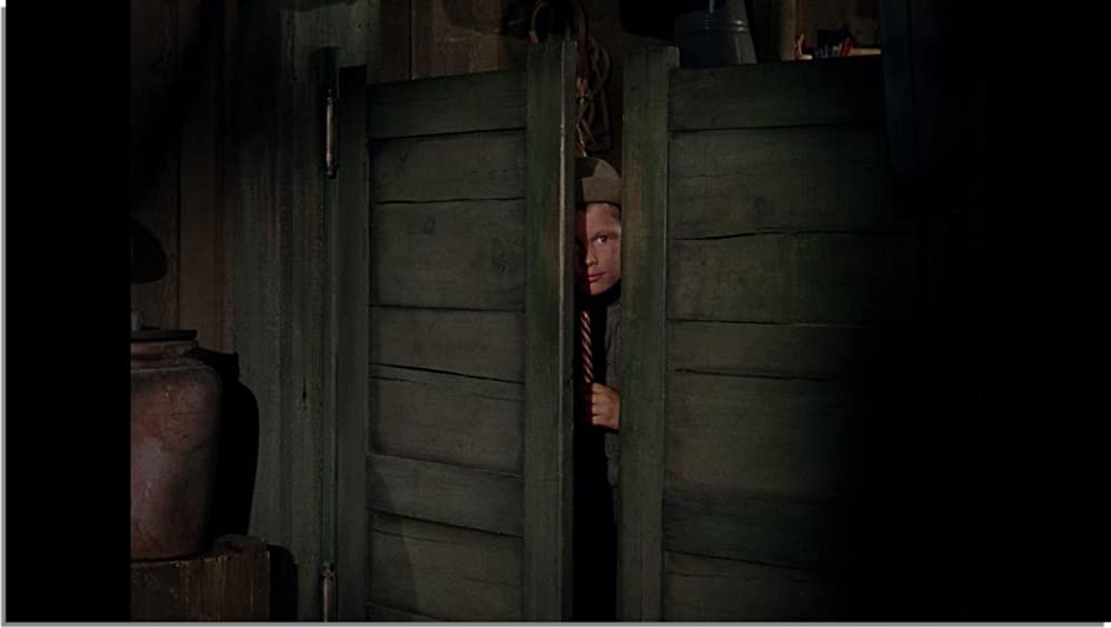 「シェーン」ブランドン・デ・ワイルドの画像