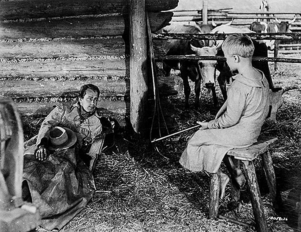 シェーンの画像