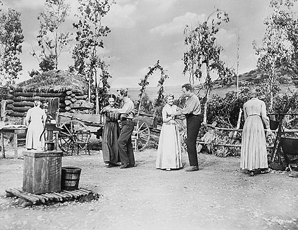 シェーンの画像