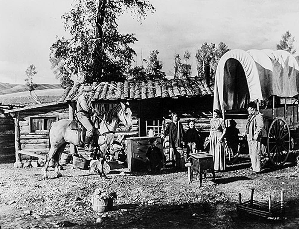 シェーンの画像