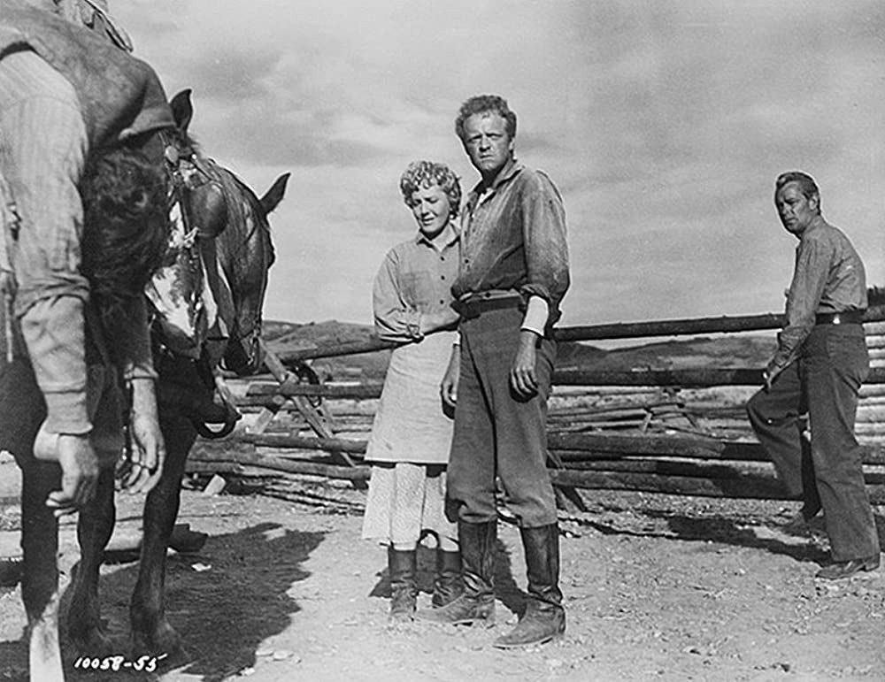 シェーンの画像