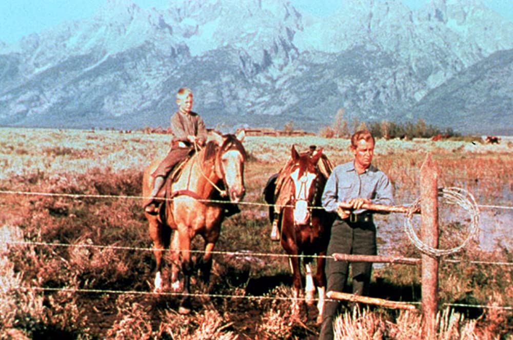 シェーンの画像