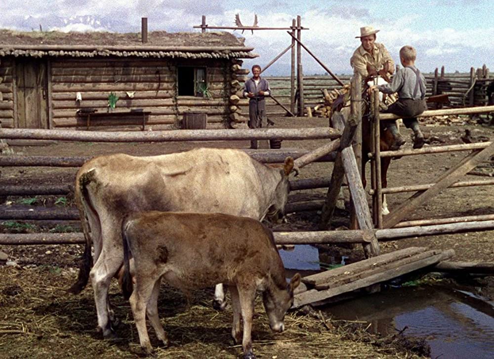 シェーンの画像