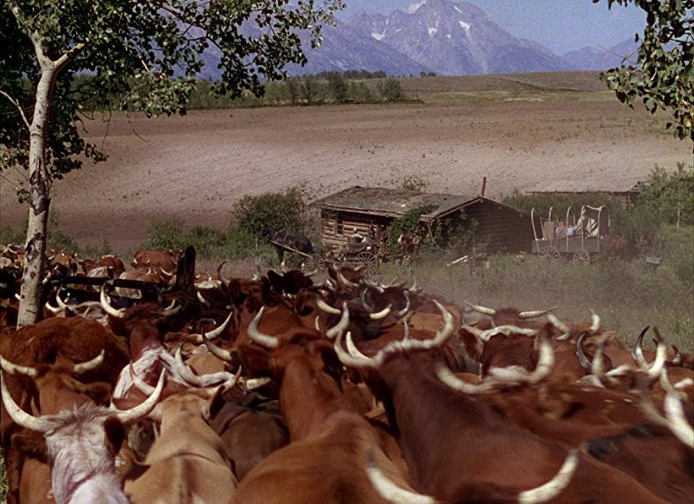 シェーンの画像