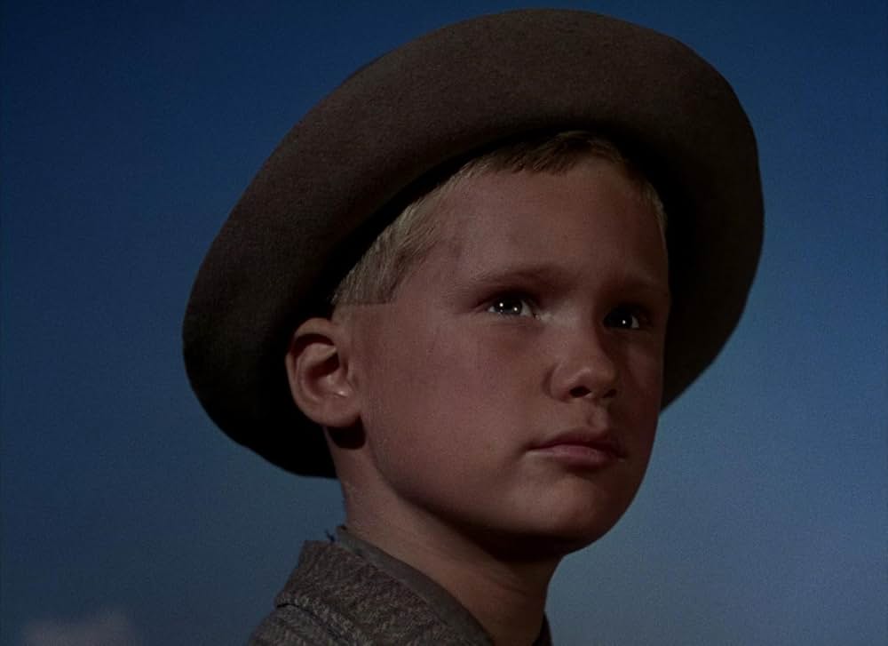 シェーンの画像