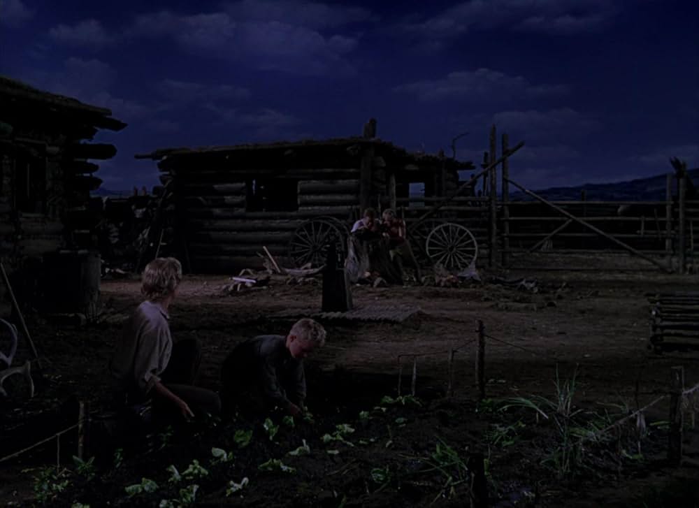 シェーンの画像