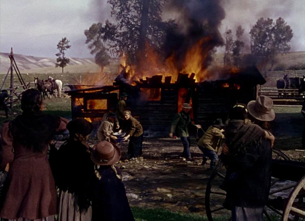 シェーンの画像