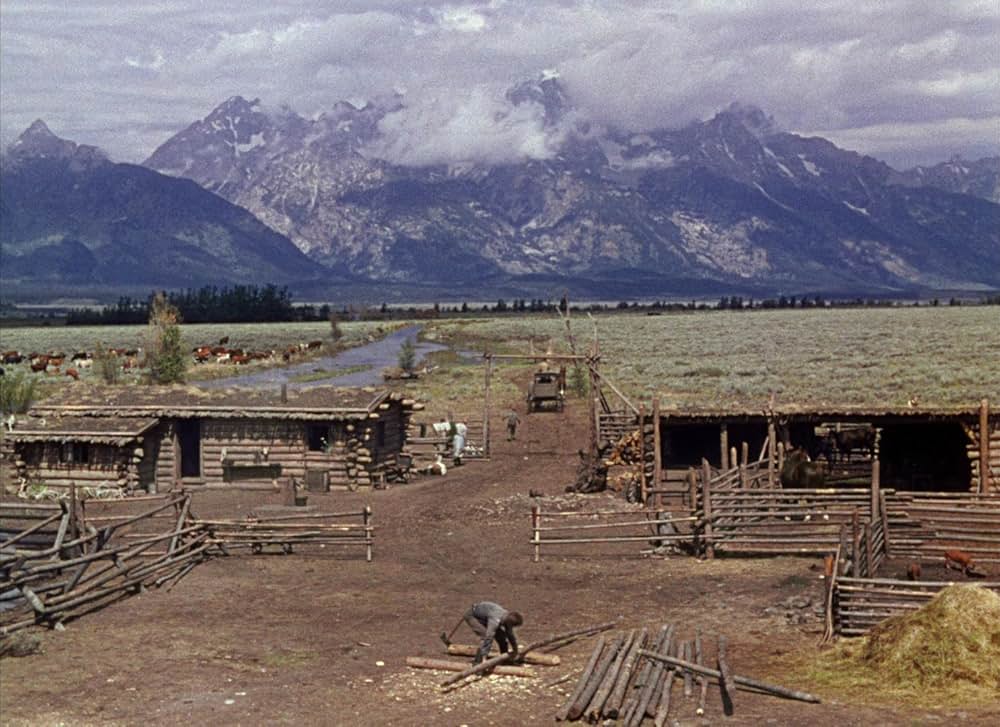 シェーンの画像