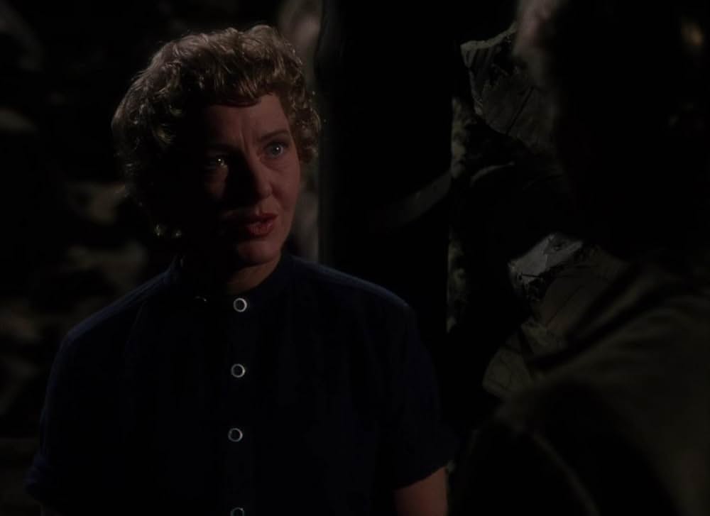 シェーンの画像