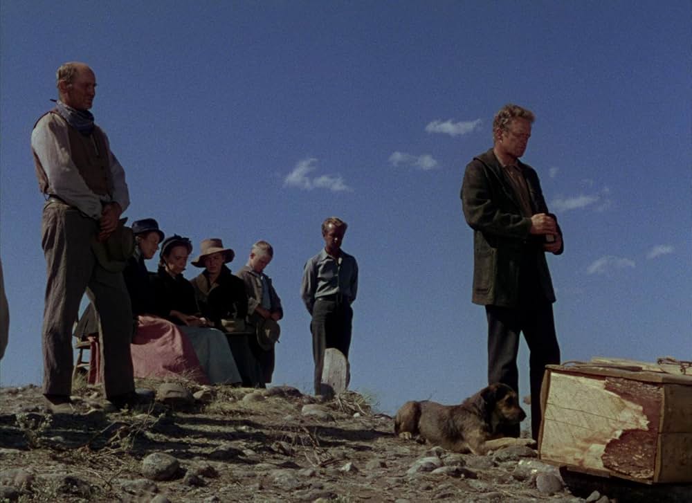 シェーンの画像