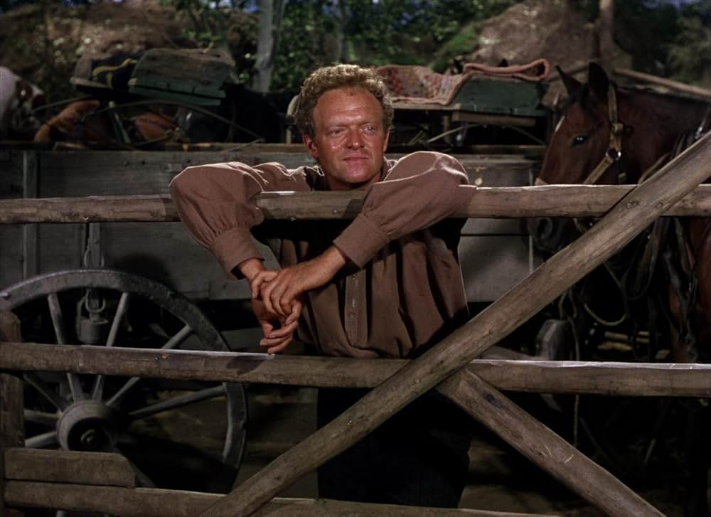 シェーンの画像