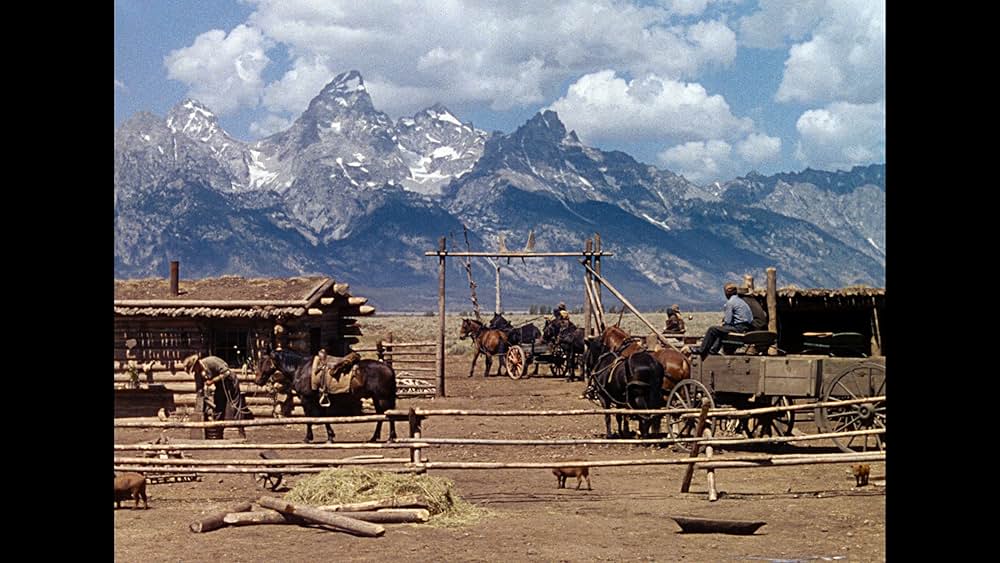 シェーンの画像