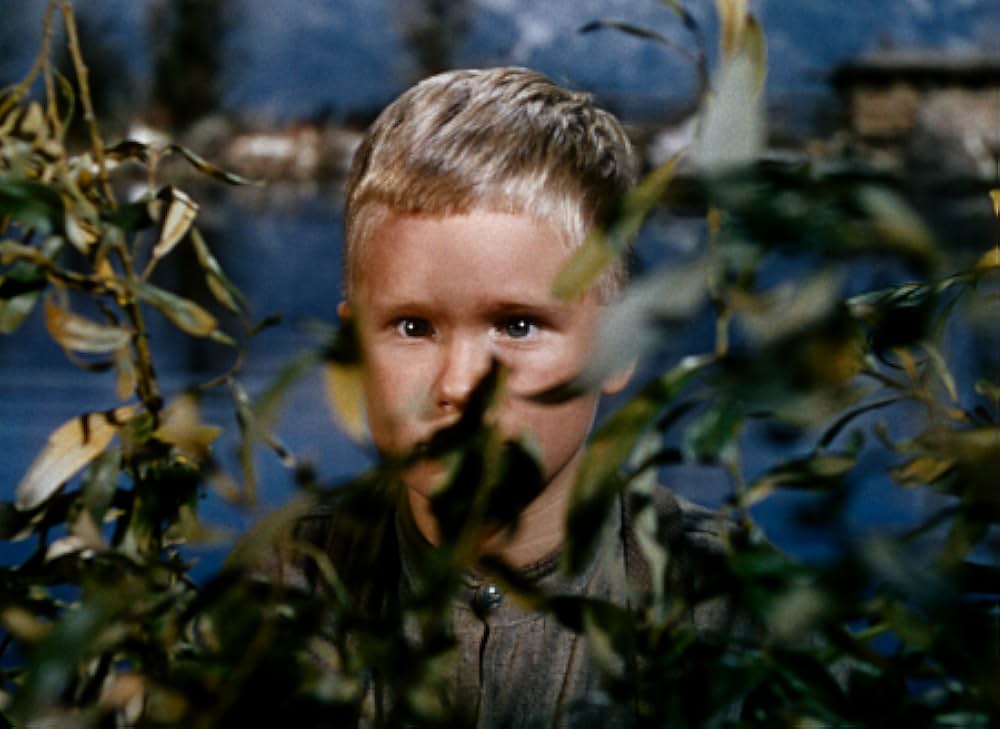 シェーンの画像