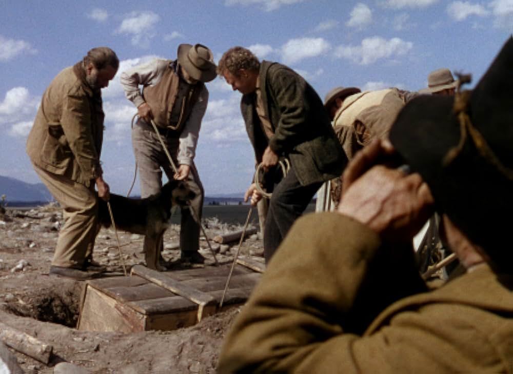 シェーンの画像