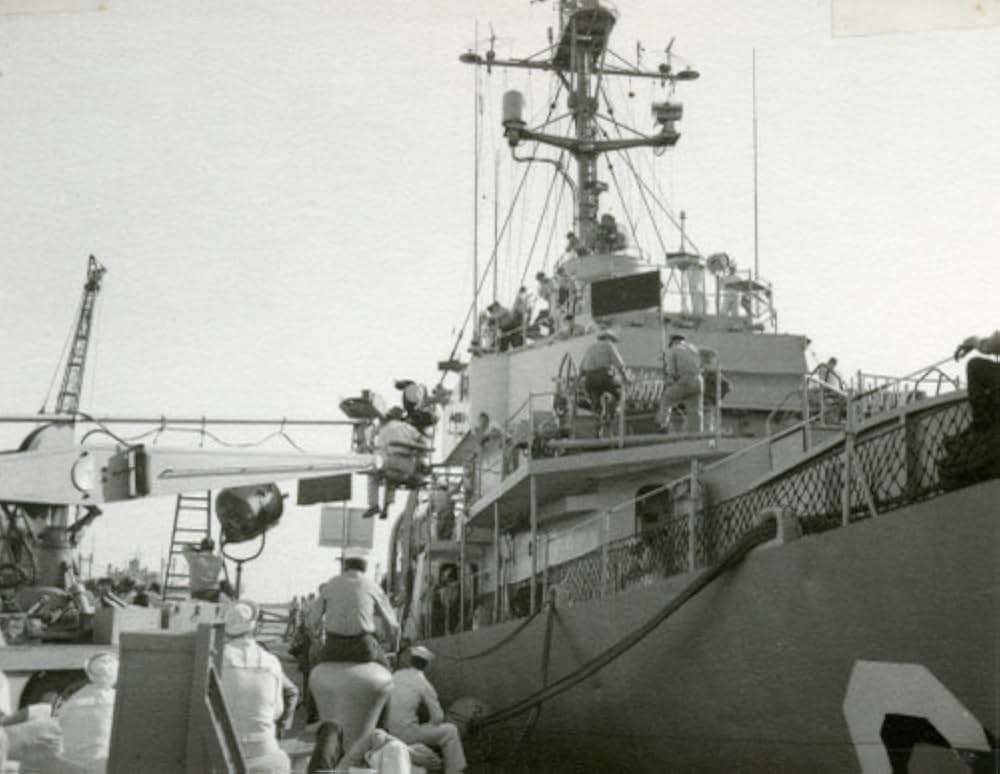 底抜け船を見棄てるナの画像