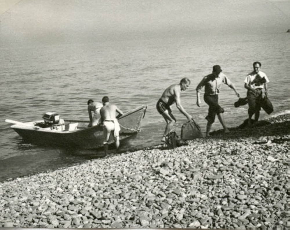 底抜け船を見棄てるナの画像