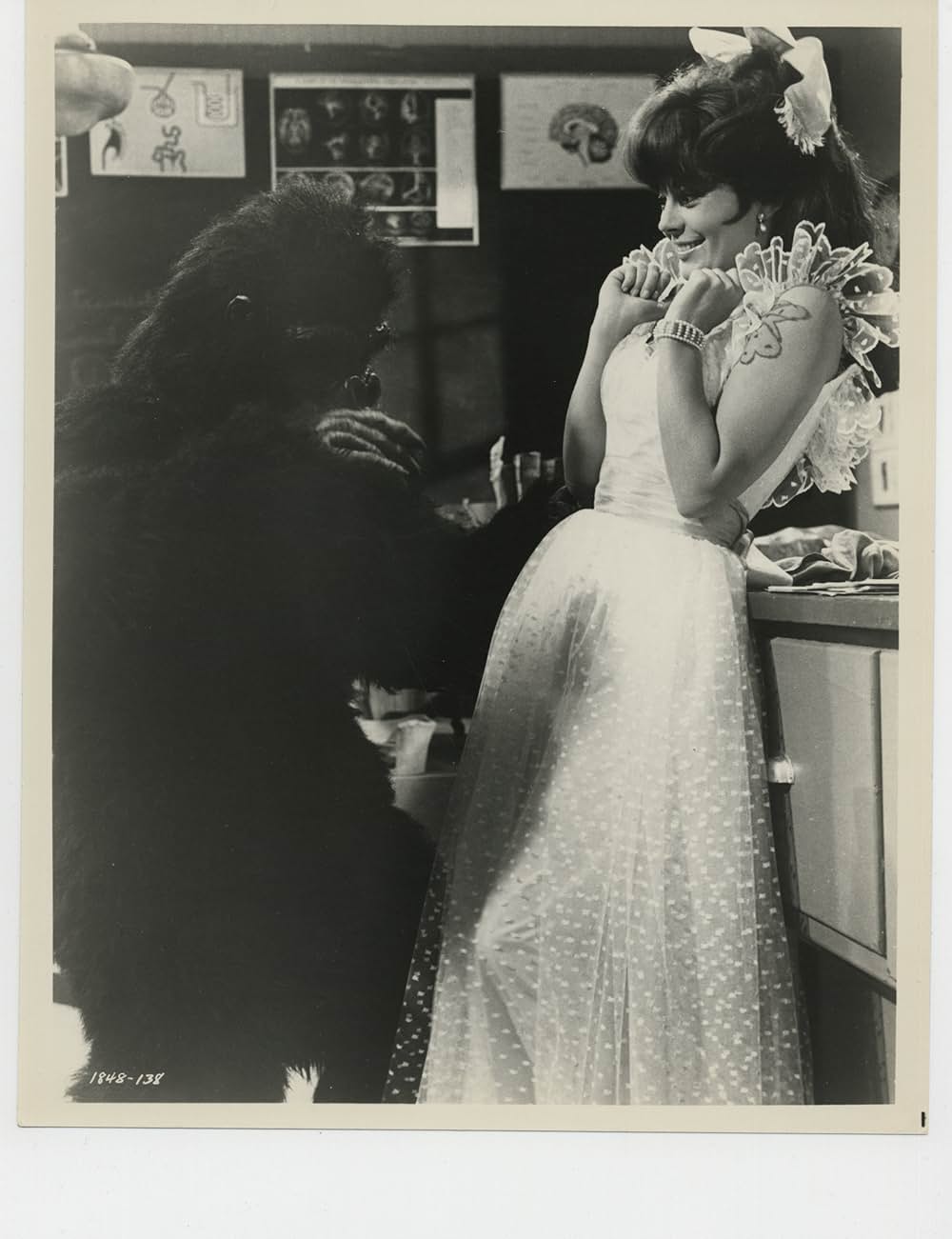 美人泥棒の画像