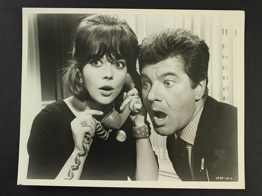 美人泥棒の画像