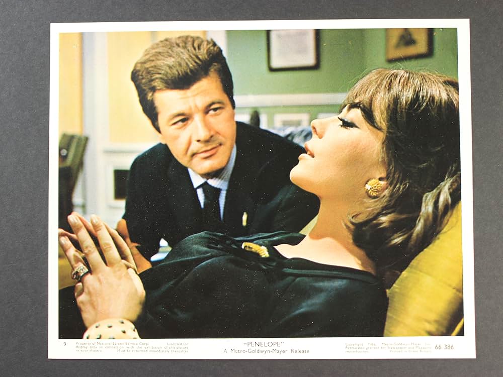 美人泥棒の画像