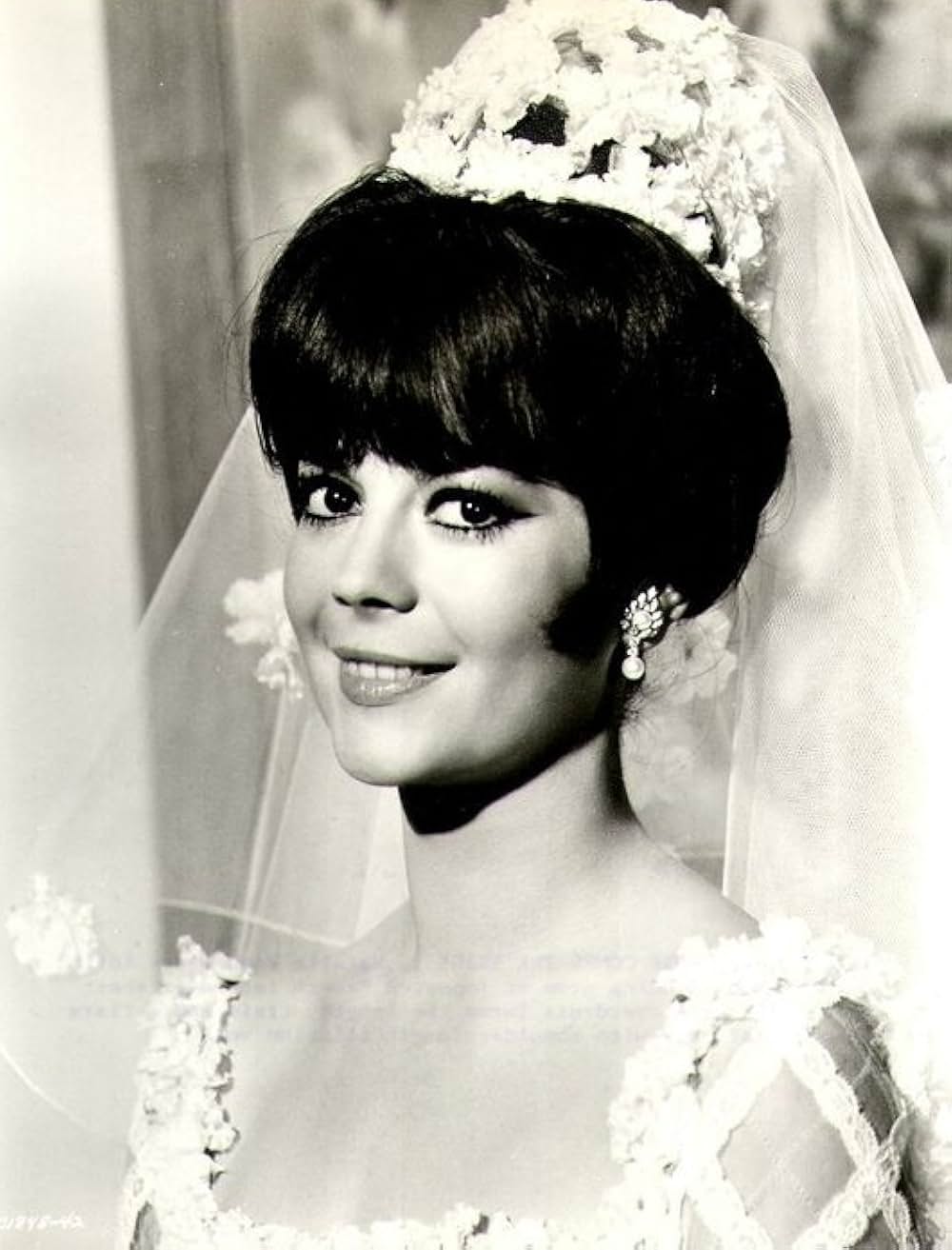 美人泥棒の画像